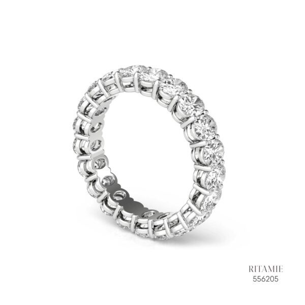 Eternal Brilliance Silver Moissanite Ring 556205