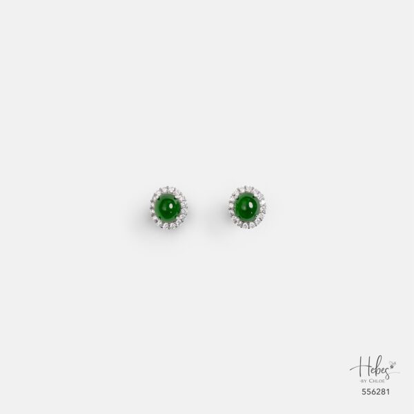 Earrings 556281